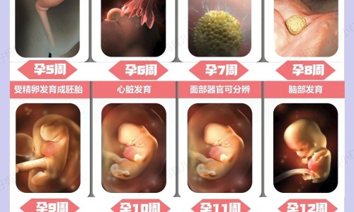 结膜炎有啥症状网—知名的结膜炎要警惕三种病网站,分享结膜炎有啥症状知识